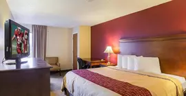 Comfort Inn Music City | Tennessee - Nashville-Davidson - Nashville (ve civarı) - Nashville