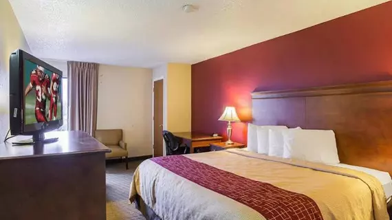 Comfort Inn Music City | Tennessee - Nashville-Davidson - Nashville (ve civarı) - Nashville