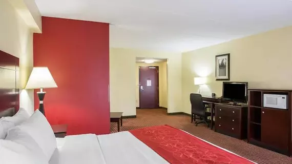 Comfort Suites Mount Juliet | Tennessee - Nashville-Davidson - Nashville (ve civarı) - Mount Juliet