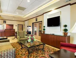 Comfort Inn & Suites Blytheville | Arkansas - Blytheville (ve civarı) - Blytheville