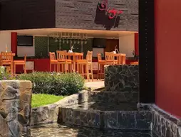 Raintree's Club Regina Puerto Vallarta | Nayarit - Bahía de Banderas - Puerto Vallarta (ve civarı) - Puerto Vallarta