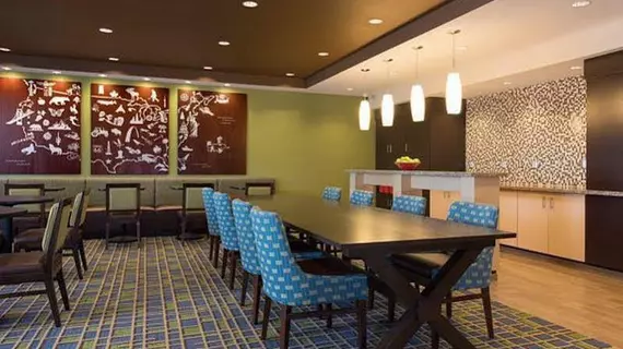 Towneplace Suites by Marriott Lexington South/Hamburg Place | Kentucky - Lexington (ve civarı) - Lexington