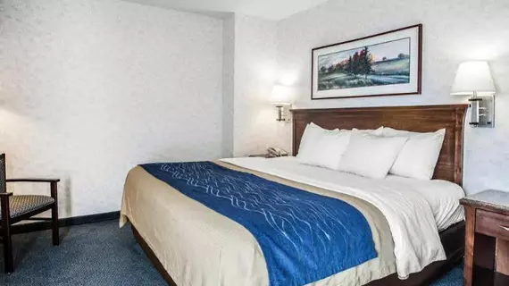 Comfort Inn Bellingham | Washington - Bellingham (ve çevresi) - Bellingham