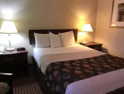 Days Inn Bloomington West | Minnesota - Minneapolis - St. Paul (ve civarı) - Bloomington