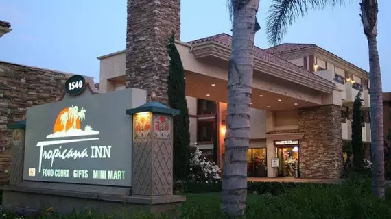 Tropicana Inn & Suites | Kaliforniya - Orange County - Anaheim - Anaheim Resort