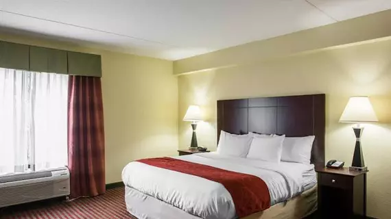 Comfort Suites Mount Juliet | Tennessee - Nashville-Davidson - Nashville (ve civarı) - Mount Juliet