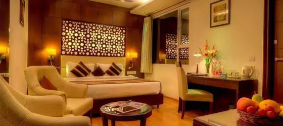 Hotel Regent Intercontinental | Batı Delhi - Ulusal Eyalet Başkenti Delhi - Delhi (ve civarı) - Yeni Delhi - Karol Bagh