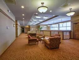 Comfort Inn Okemos | Michigan - Lansing (ve civarı) - Okemos