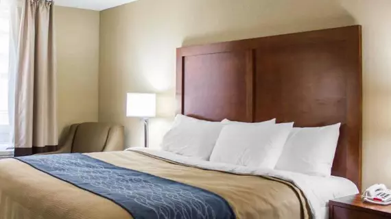 Comfort Inn | New York - New York (ve civarı) - Queens - Jamaika