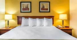 Quality Inn | Alabama - Montgomery (ve civarı) - Montgomery