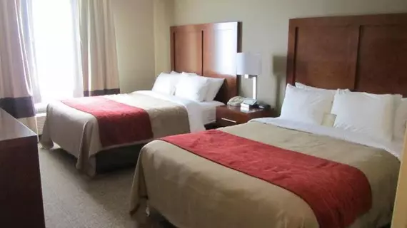 Comfort Inn & Suites Morgan City | Louisiana - Morgan City (ve civarı) - Morgan City