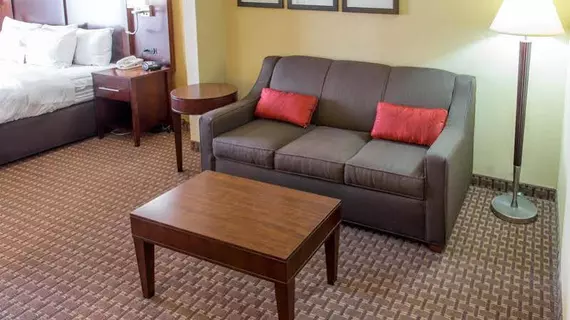 Comfort Suites Port Allen | Louisiana - Baton Rouge (ve civarı) - Port Allen