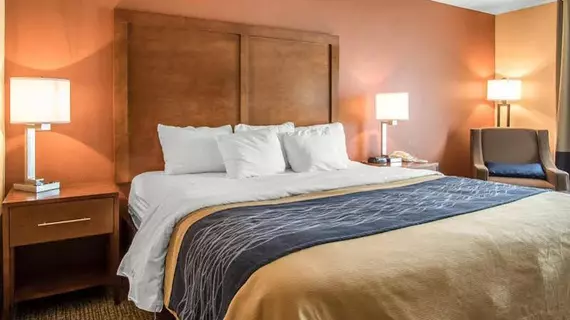 Comfort Inn Livingston | Alabama - Demopolis (ve civarı) - Livingston