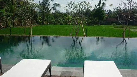 Bliss Bungalow | Bali - Ubud - Kedewatan