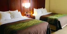 Comfort Inn @Trolley Square | Vermont - Central Vermont- Killington (ve civarı) - Rutland