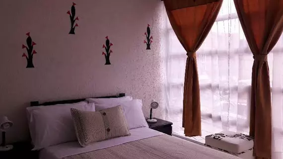 Colombia Real Bogota | Cundinamarca - Bogota (ve civarı) - Bogota - Teusaquillo - Campin