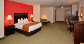 Comfort Suites Johnson Creek | Wisconsin - Fort Atkinson (ve civarı) - Johnson Creek