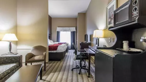 Comfort Suites Smyrna | Tennessee - Nashville-Davidson - Nashville (ve civarı) - Smyrna