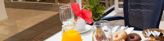 Diverhotel Marbella | Andalucia - Malaga İli - Marbella