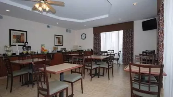 Comfort Inn & Suites Orangeburg | Güney Karolayna - Orangeburg (ve civarı) - Orangeburg