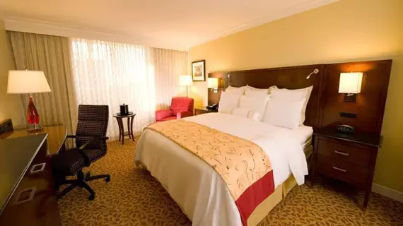 Atlanta Marriott Buckhead Hotel | Georgia - Atlanta (ve civarı) - Atlanta - Buckhead