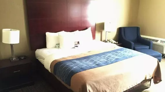 Comfort Inn Atlanta Downtown South | Georgia - Atlanta (ve civarı) - Atlanta