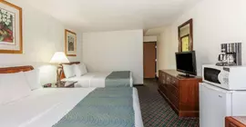 Super 8 Motel - Irving DFW Airport/South | Teksas - Dallas (ve civarı) - Irving