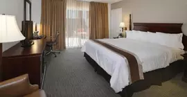 The Ahaneim Hotel | Kaliforniya - Orange County - Anaheim - Anaheim Resort