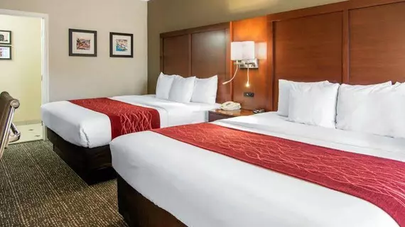 Comfort Inn & Suites San Francisco Airport North | Kaliforniya - San Fransisko (ve civarı) - South San Francisco