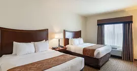 Comfort Suites Stone Oak | Teksas - San Antonio (ve civarı) - San Antonio - Kuzey San Antonio - SAT Havalimanı