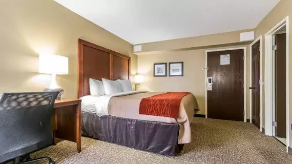 Comfort Inn & Suites Lexington | Kentucky - Lexington (ve civarı) - Lexington