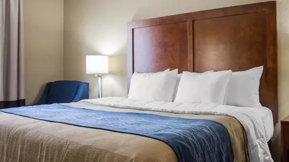 Comfort Inn | New York - New York (ve civarı) - Queens - Jamaika