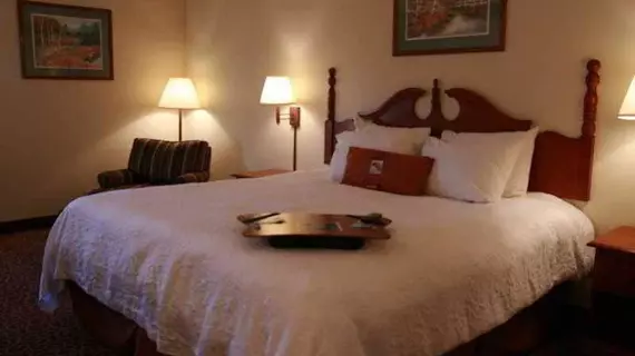 Hampton Inn Chattanooga I24 West Lookout Mountain | Tennessee - Chattanooga (ve civarı) - Chattanooga - Tiftonia