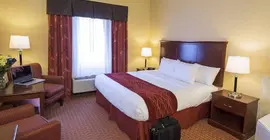 Comfort Inn Airport St. John's | Newfoundland and Labrador - Newfoundland - St. John's (ve civarı) - St. John's