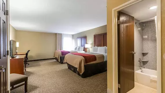 Comfort Inn & Suites Lexington | Kentucky - Lexington (ve civarı) - Lexington