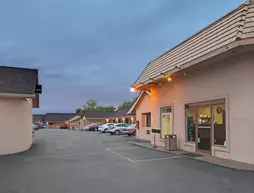 Knights Inn Pine Brook | New Jersey - Washington Township - Parsippany (ve civarı) - Pine Brook