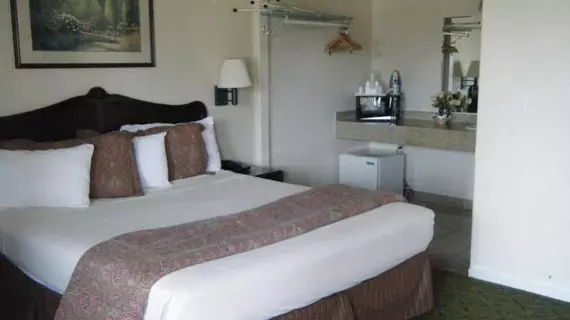 Carmel Hill Lodge / Knights Inn | Kaliforniya - Monterey (ve civarı) - Monterey