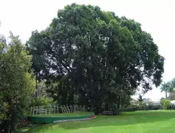 Posada Jacarandas | Morelos - Cuernavaca