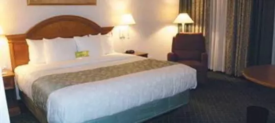 La Quinta Inn & Suites Dallas DFW Airport North | Teksas - Dallas (ve civarı) - Irving