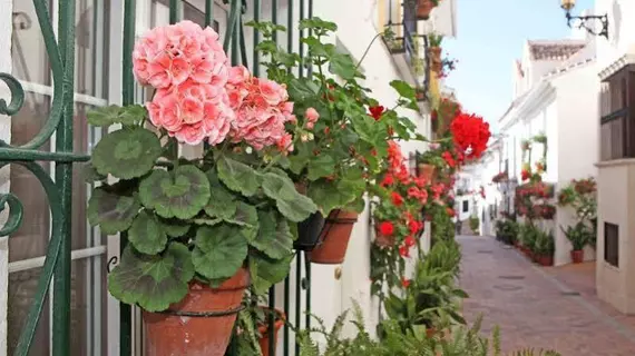 La Posada | Andalucia - Malaga İli - Benalmadena