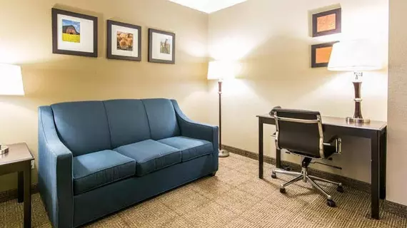 Comfort Inn & Suites Airport and Expo | Kentucky - Louisville (ve civarı) - Louisville