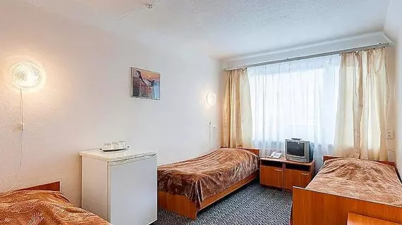 LDM Hotel | Leningrad Bölgesi - St. Petersburg (ve civarı) - Petrogradskaya Bölgesi - Chkalovskoe