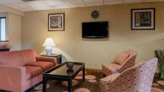 Comfort Inn Waynesboro | Virginia - Staunton (ve civarı) - Waynesboro