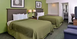 Econo Lodge | Teksas - Austin (ve civarı) - Austin - North Loop