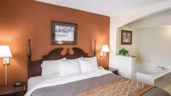 Comfort Inn And Suites | Güney Karolayna - Greenville - Spartanburg (ve civarı) - Spartanburg - Valley Falls