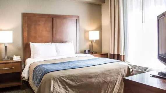 Comfort Inn & Suites Sanford | Florida - Sanford