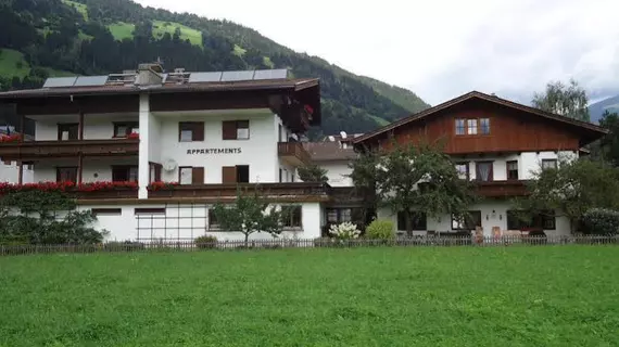 Schneeberger Appartementhaus | Tirol - Schwaz District - Schwaz (ve civarı) - Zell am Ziller