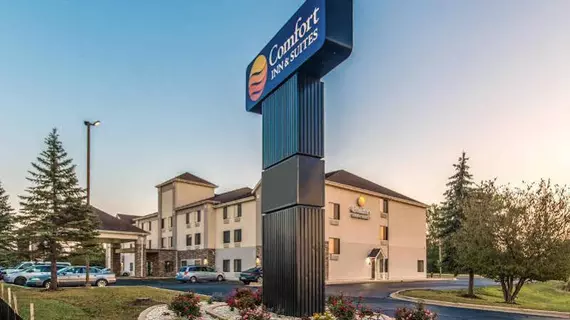 Comfort Inn and Suites | İllinois - Aurora