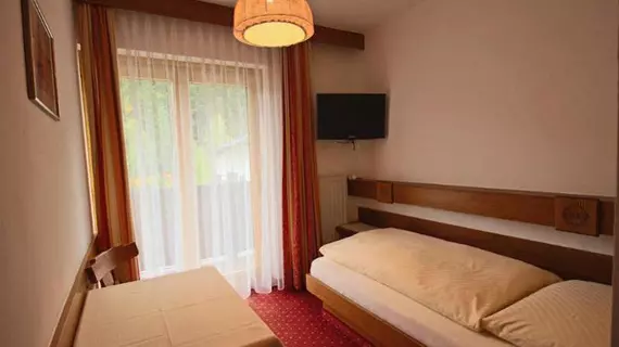 Pension Riedlsperger | Salzburg (eyalet) - Zell am See - Saalbach-Hinterglemm