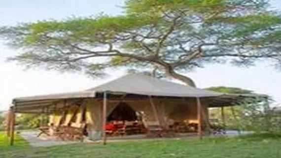 Kisura Serengeti Tented Camp | Serengeti Ulusal Parkı